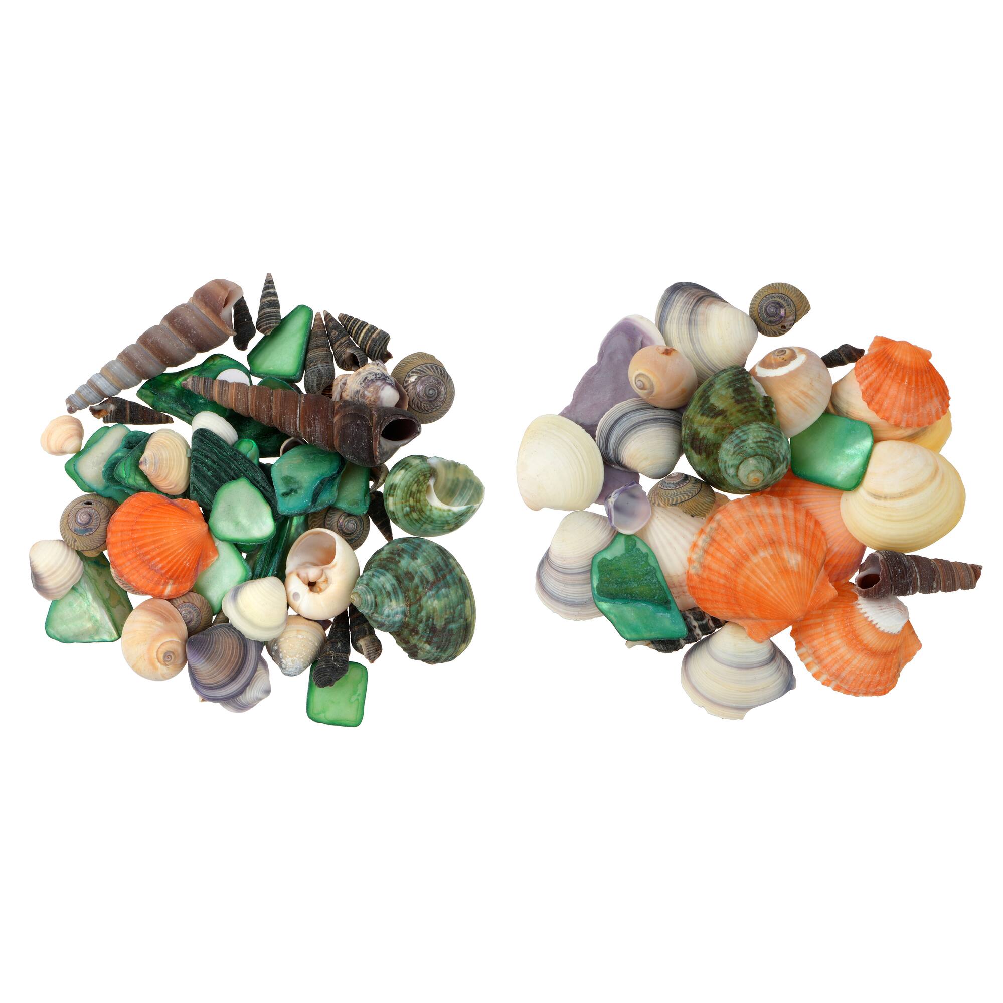 3.5oz. Dyed & Natural Shell Mix by Ashland®